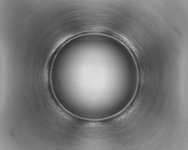 X0000116340835200912011348