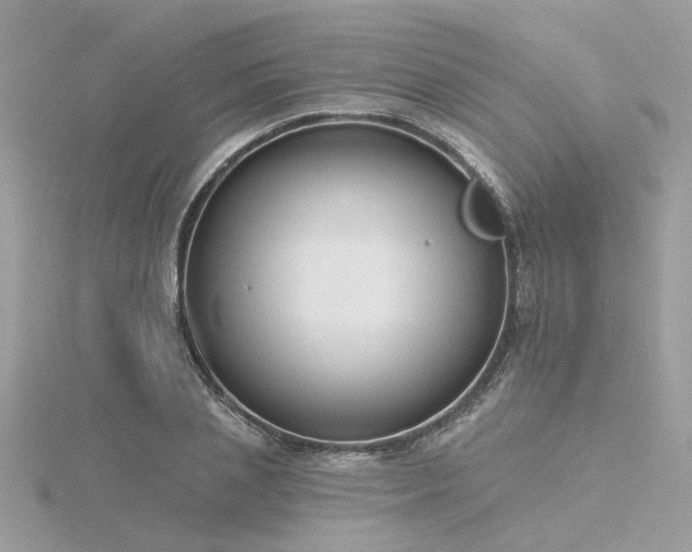 X0000116340837200912011348