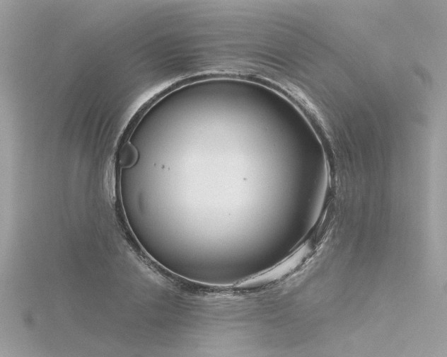 X0000116340838200912011348