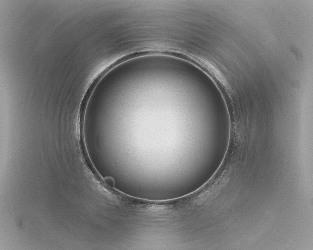 X0000116340839200912011348