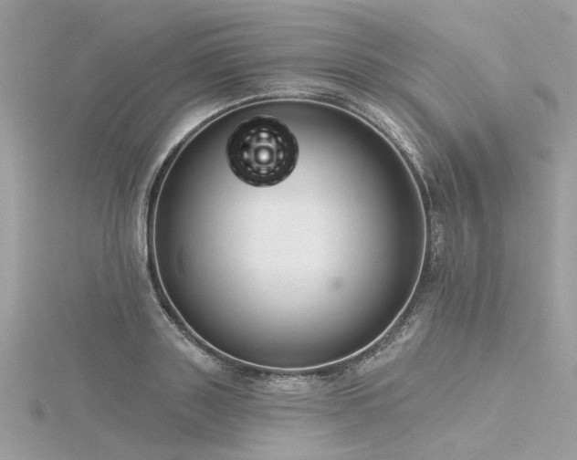 X0000116340843200912011348