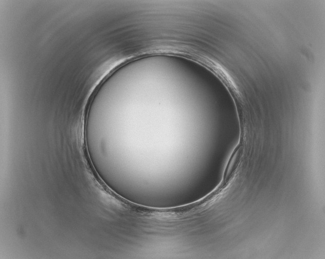 X0000116340844200912011348