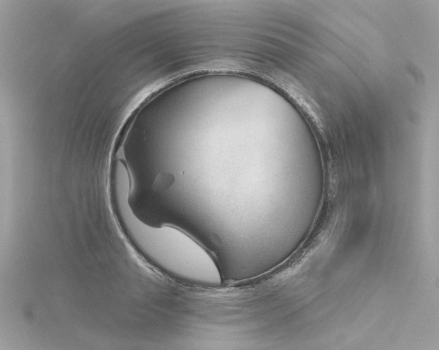 X0000116340845200912011348