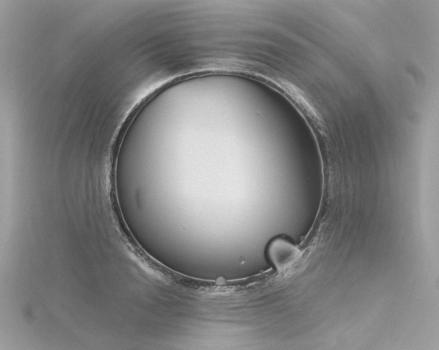 X0000116340846200912011348