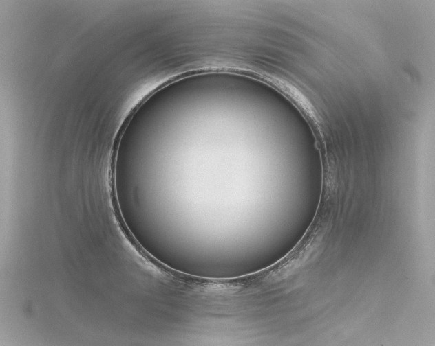 X0000116340847200912011348