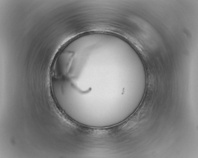 X0000116340848200912011348