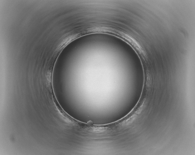 X0000116340849200912011348