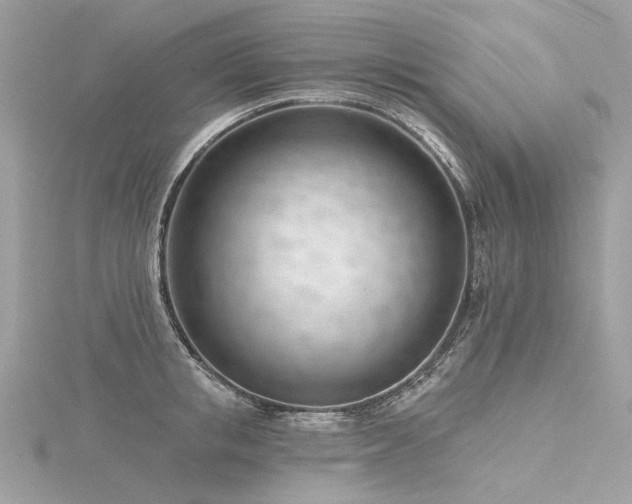 X0000116340853200912011348