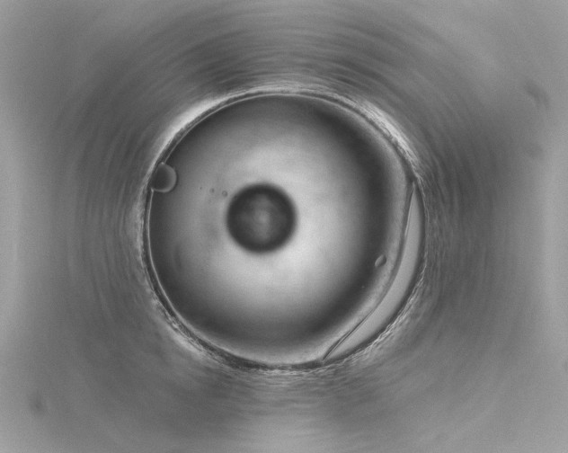 X0000116340854200912011348