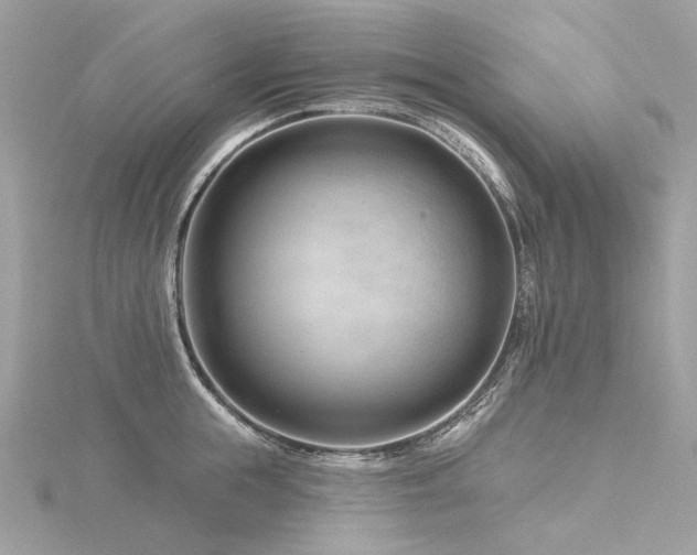 X0000116340855200912011348