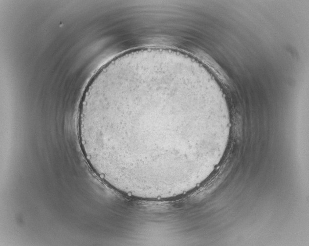 X0000116340856200912011348