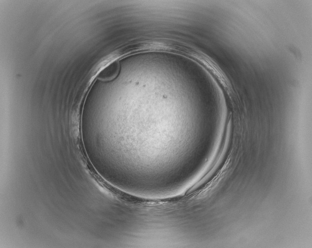 X0000116340858200912011348