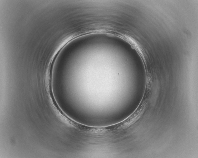 X0000116340859200912011348