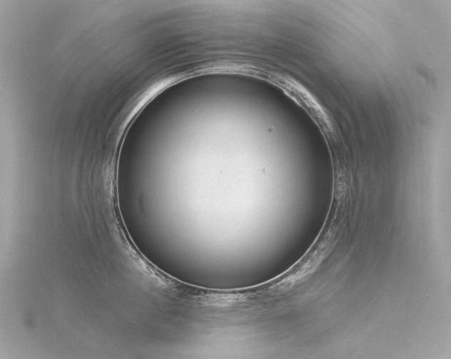 X0000116340860200912011348