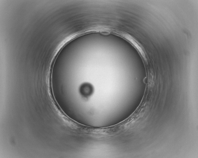 X0000116340861200912011348