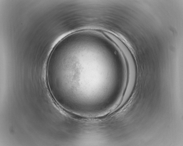 X0000116340862200912011348