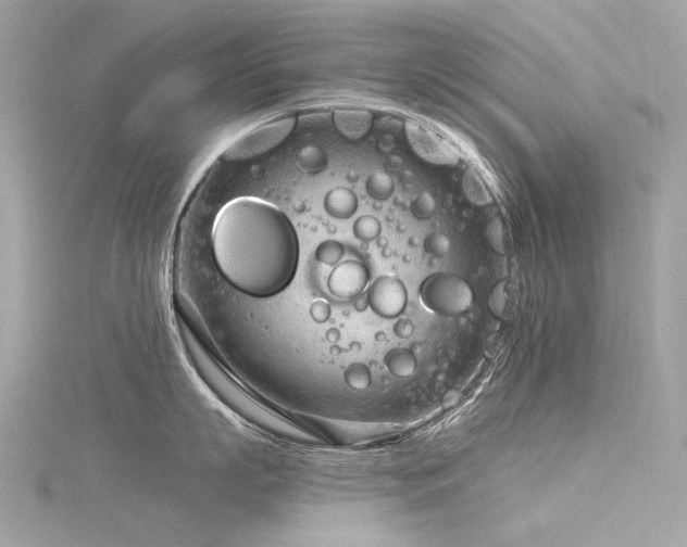 X0000116340863200912011348