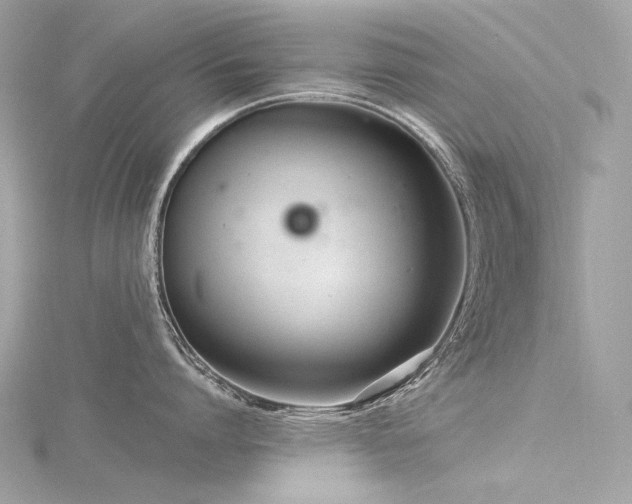 X0000116340864200912011348