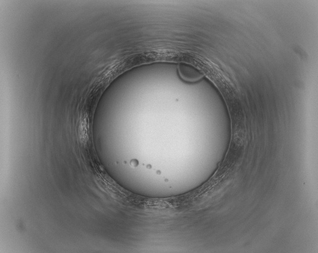 X0000116340866200912011347