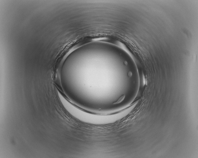 X0000116340867200912011347