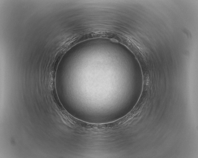 X0000116340868200912011347