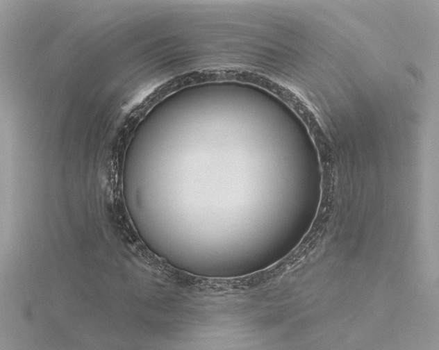 X0000116340871200912011347