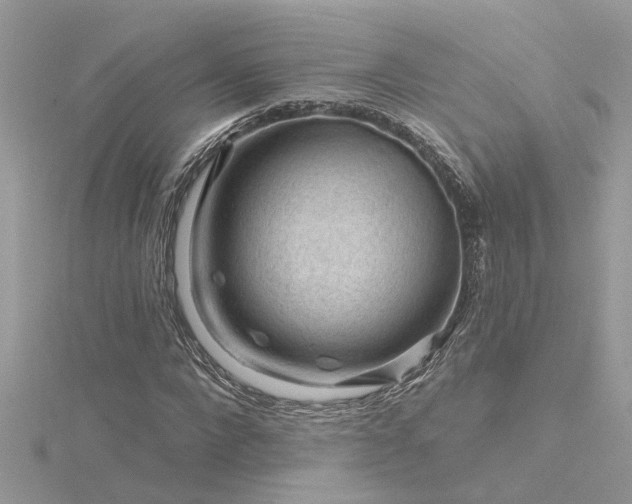 X0000116340872200912011347