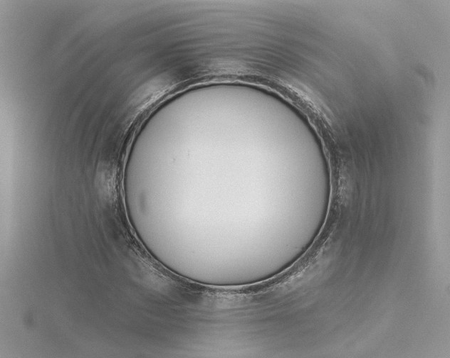 X0000116340873200912011347