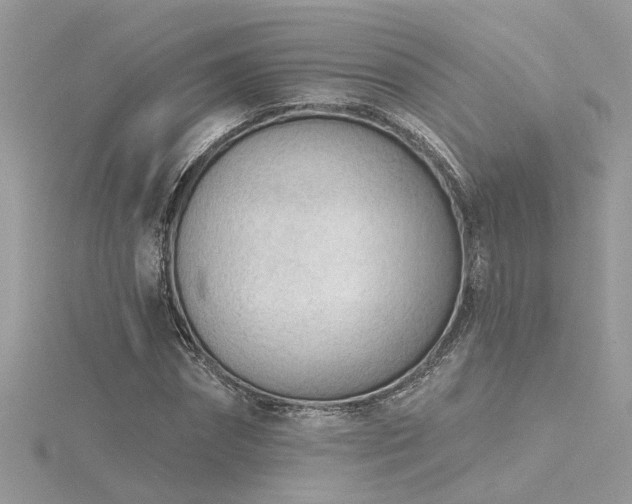 X0000116340874200912011347