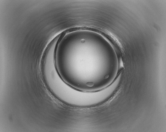 X0000116340876200912011347