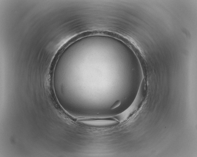 X0000116340879200912011347