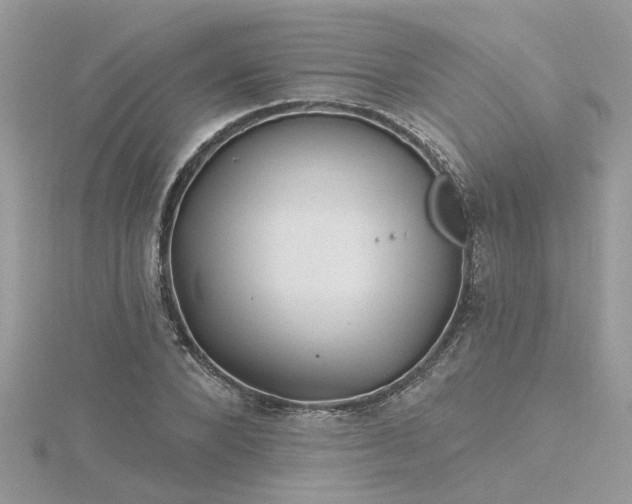 X0000116340880200912011347