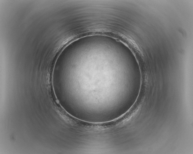 X0000116340881200912011347