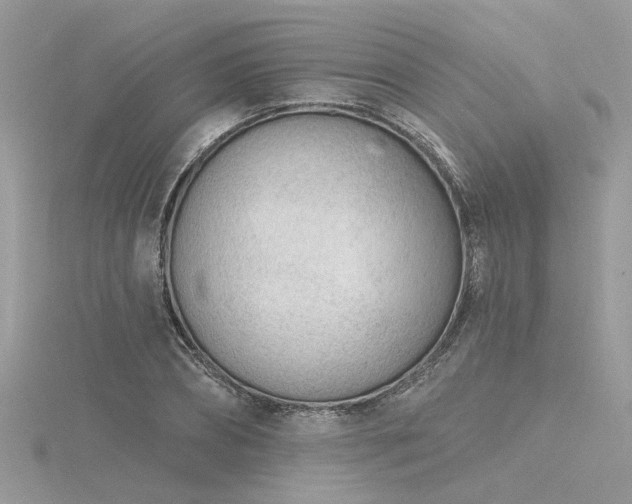 X0000116340882200912011347