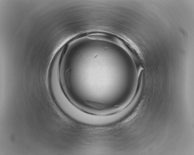 X0000116340885200912011347