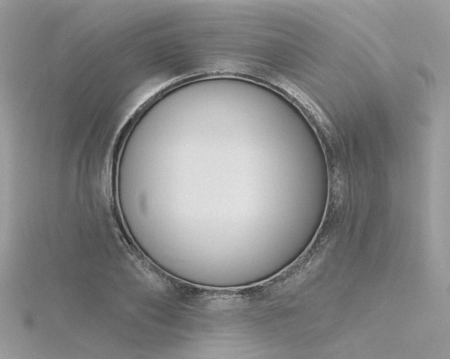 X0000116340886200912011347