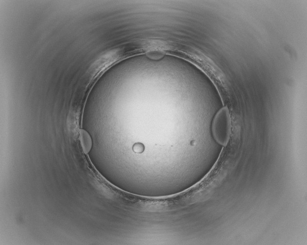 X0000116340889200912011347