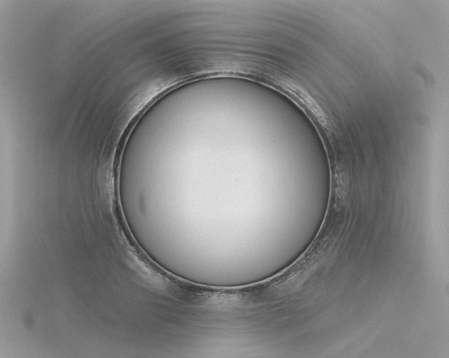 X0000116340890200912011347