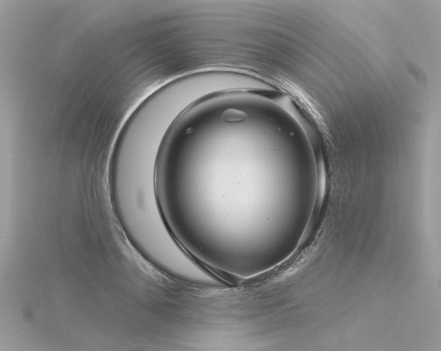 X0000116340892200912011347