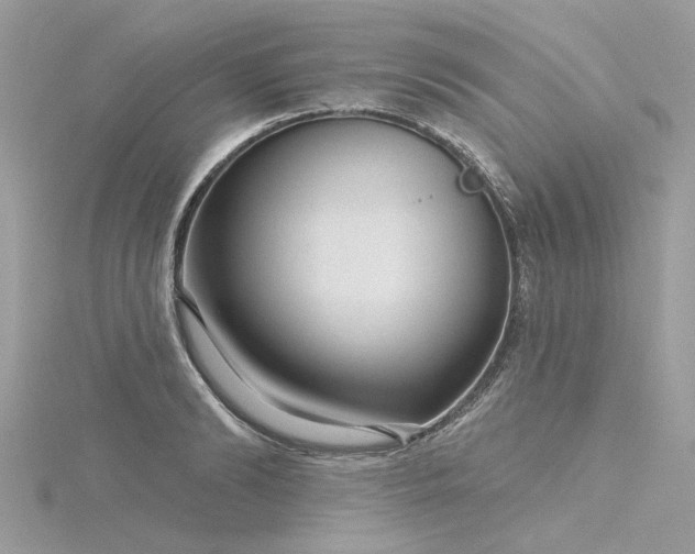 X0000116340894200912011347