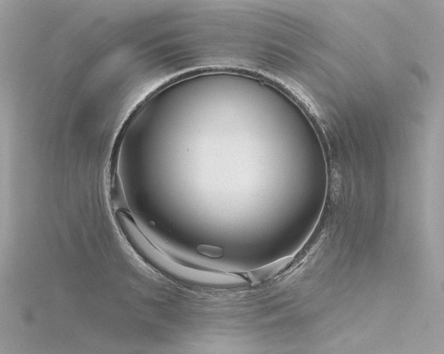 X0000116340895200912011347