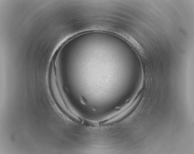 X0000116340896200912011347