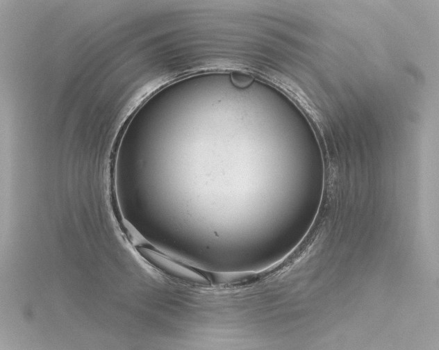 X0000116340898200912011347