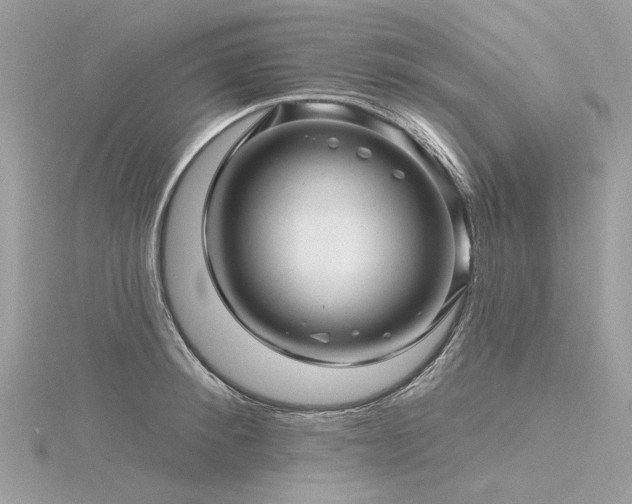 X0000116340900200912011347