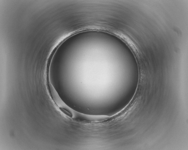 X0000116340902200912011347