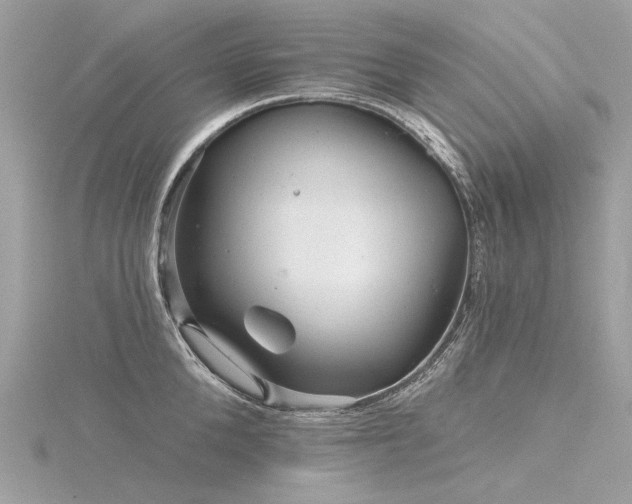 X0000116340904200912011347