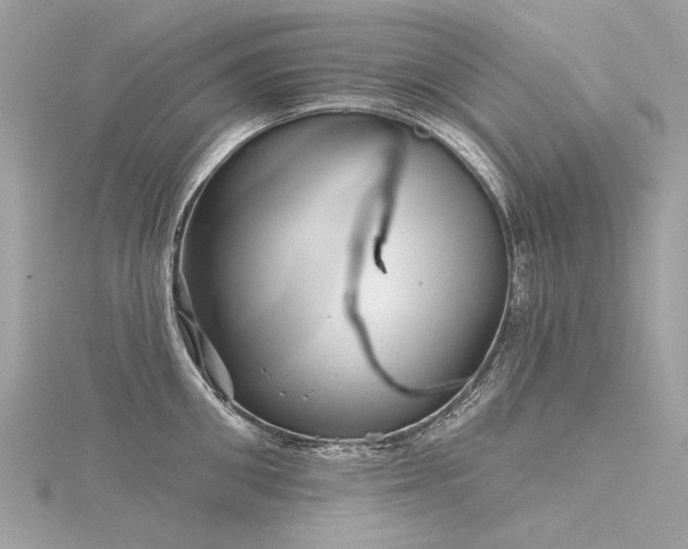 X0000116340906200912011347