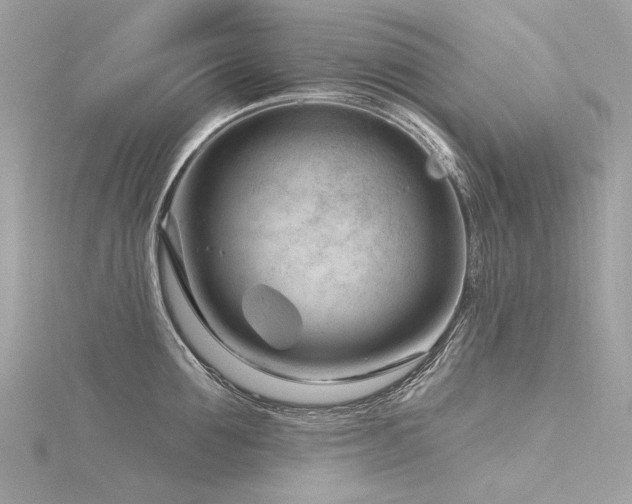 X0000116340907200912011347