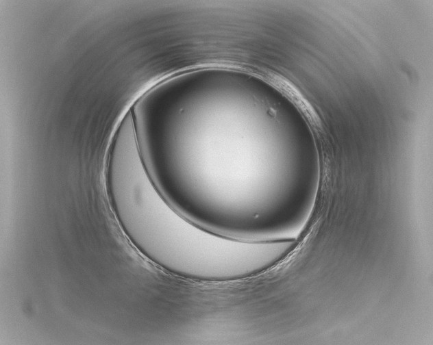 X0000116340908200912011347