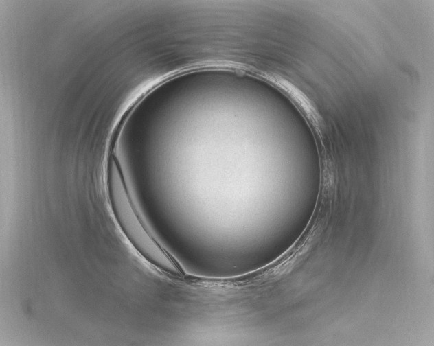 X0000116340910200912011347